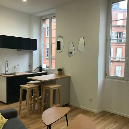 La Fontaine De Salengro Apartment Toulouse