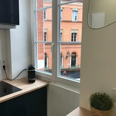 Apartment La Fontaine De Salengro Toulouse