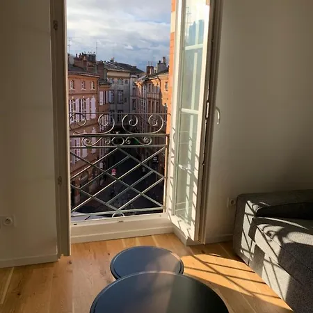 La Fontaine De Salengro Apartment Toulouse